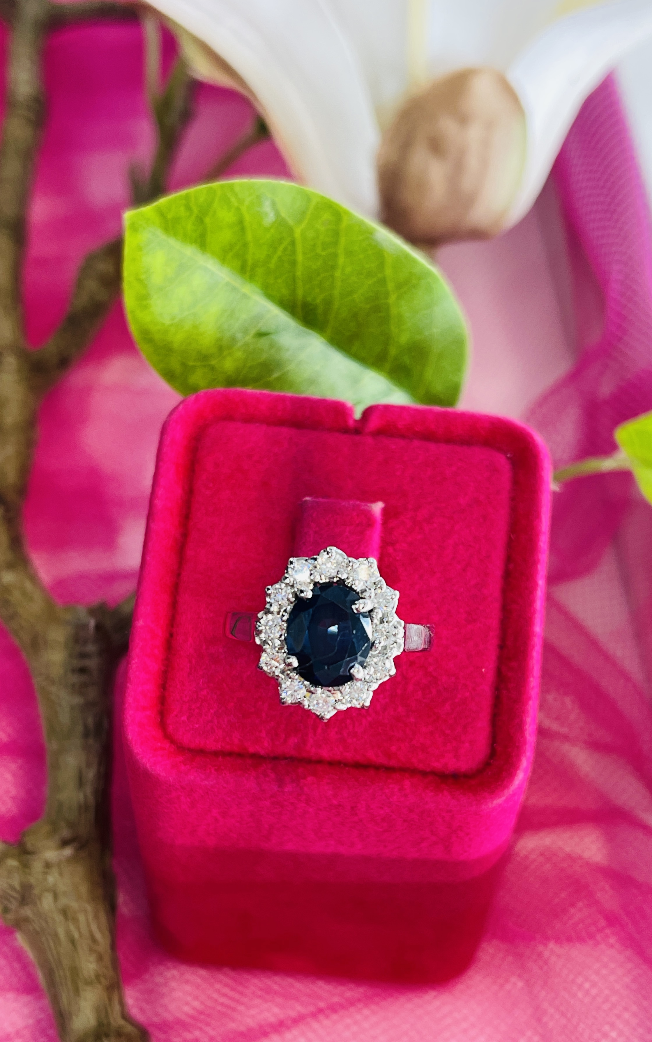 ANELLO